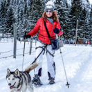 Husky-Schneeschuh-Trekking in Hohentaürn