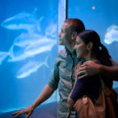 Städtetrip München mit SEA LIFE für 3 (2 Tage)