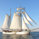 Segeltoern Usedom - Ruegen mit Picknick (1 Tag)