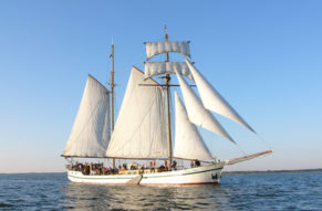 Segeltoern Usedom - Ruegen mit Picknick (1 Tag)