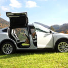Tesla Model X Wochenende Raum Basel