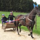 Trabrennen im Trainings-Sulky in Aichach