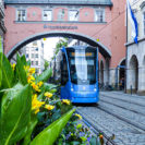 Tramtour vom Stachus zur Borstei in München