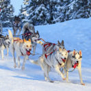 Lappland-Kurzurlaub mit Husky & Rentierschlittenfahrt für 2