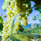 Weinkenner-Kurzurlaub in Südtirol für 2