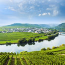 Weinausflug mit Planwagenfahrt und Verkostung in Rheinhessen