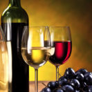 Weinseminar Kenner