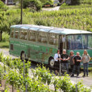Weinausflug & Schifffahrt in Trier