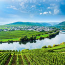 Weinbergwanderung mit Klettersteig an der Mosel