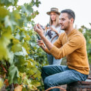 Weinwanderung mit Verkostung in Ruedesheim