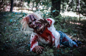 Zombie-Alarm! Überlebenskampf im Wald